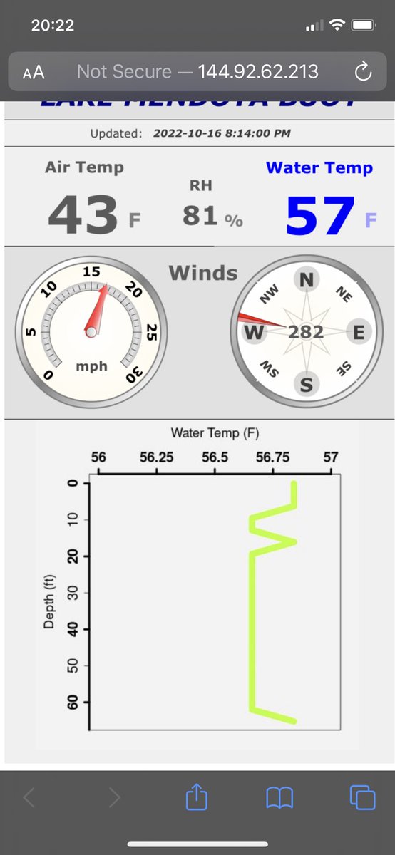 Trina McMahon 🌪 tweet media