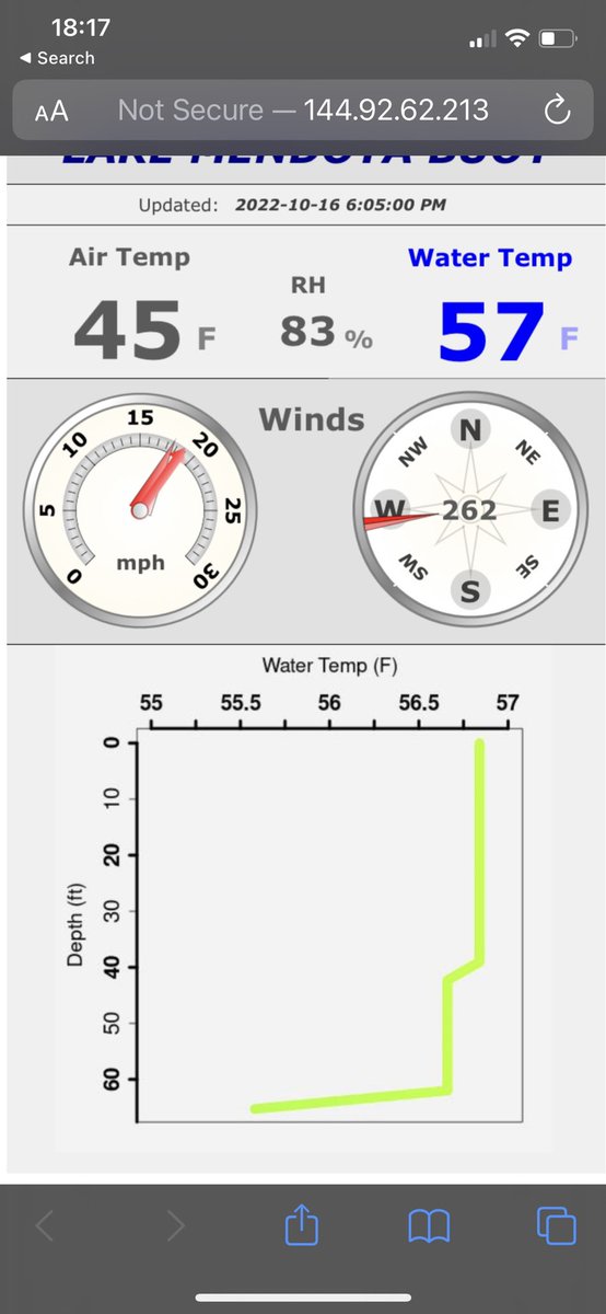 Trina McMahon 🌪 tweet media