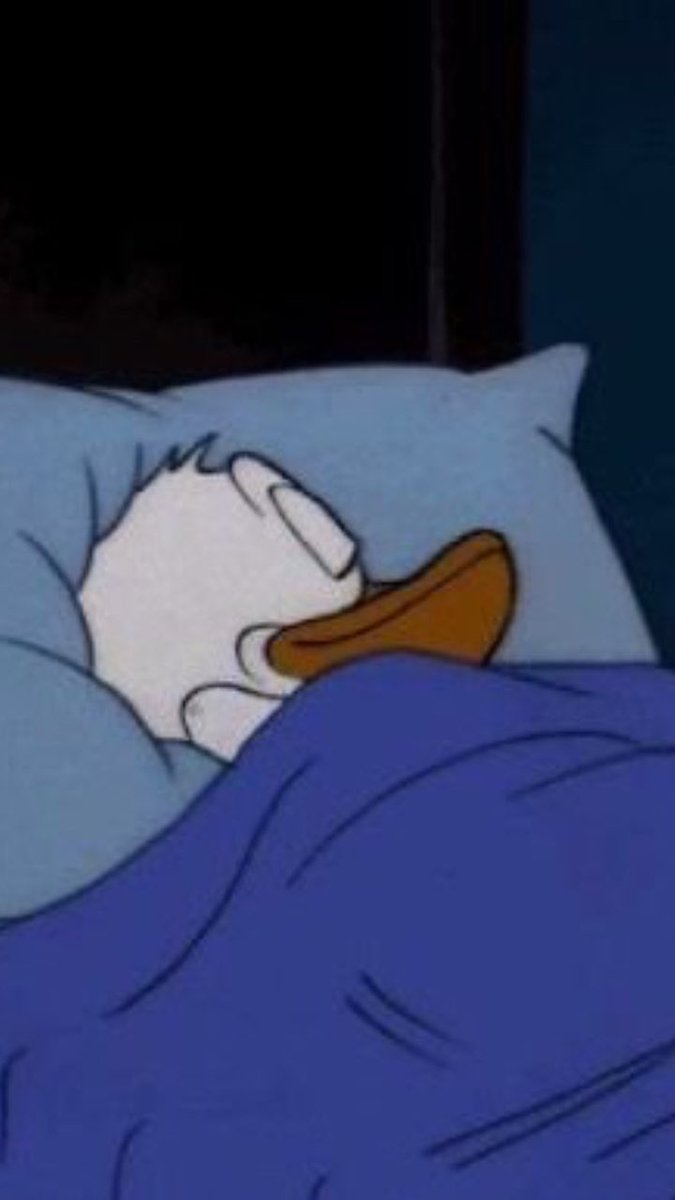 12Gagee_'s tweet photo. Me going to bed tonight after a Bengals W https://t.co/JMBal0JfME