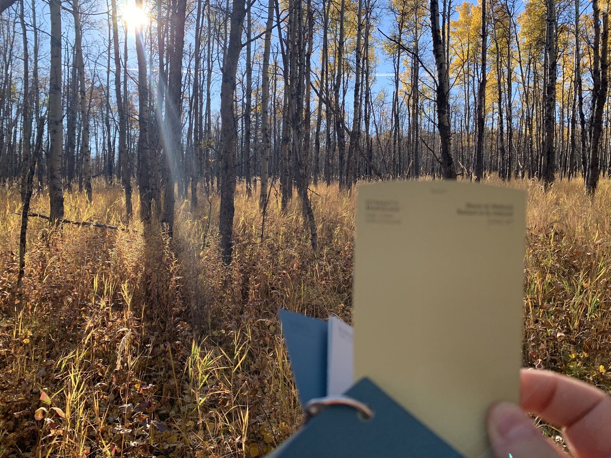 When hiking is also your prepping.🍁☀️🥾 #FieldSelfCareStreak #takemeoutside shop.everactive.org/products/outdo…