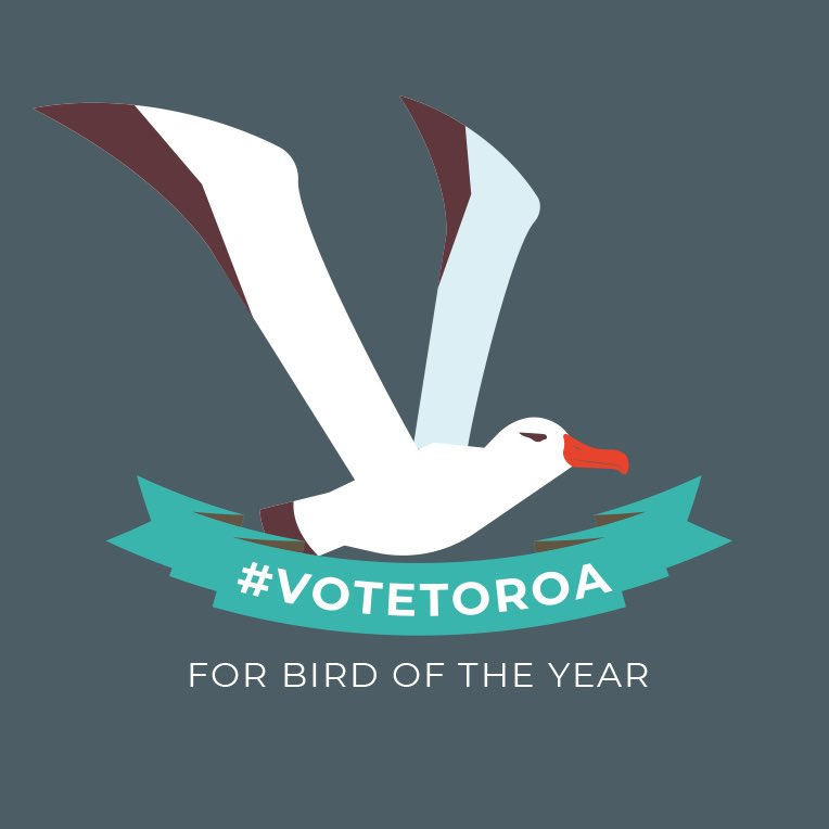 toroagame's tweet photo. ANNOUNCEMENT TIME📢📢📢

#BirdOfTheYear voting is OPEN! 🐥 Show your support for Toroa and put the Antipodean Albatross in your 1 spot!

#VoteToroa #SeaBirdsNotTreeBirds https://t.co/2LWXhWQNrF