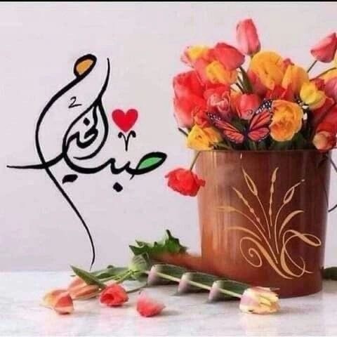 Soha Hamdy tweet media