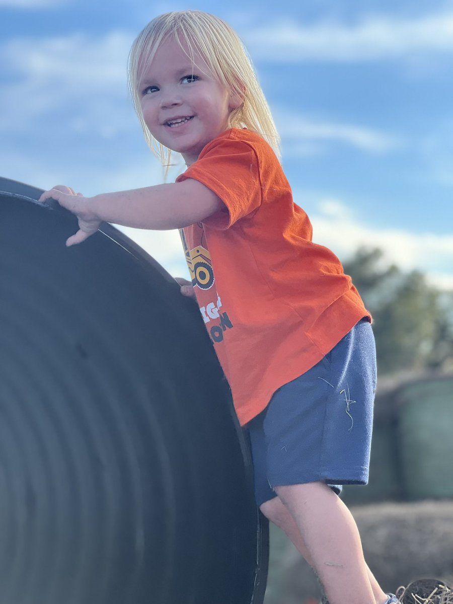QueenRusskiy's tweet photo. Before going into big news week 👀 did some pumpkin 🎃 patch with my mini me. Make memories while it last 🖤 then they turn 13 and tell you to shut their bedroom door 😂
#cryptomom #cryptoparents #HalloweenEnds https://t.co/tOfyUKLIN7