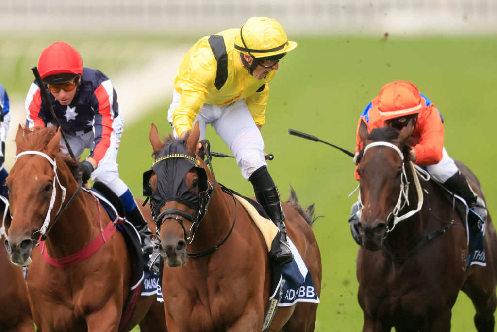 Punters's tweet photo. Happy retirement to this tough hombre #Addeybb https://t.co/97465QW2VP