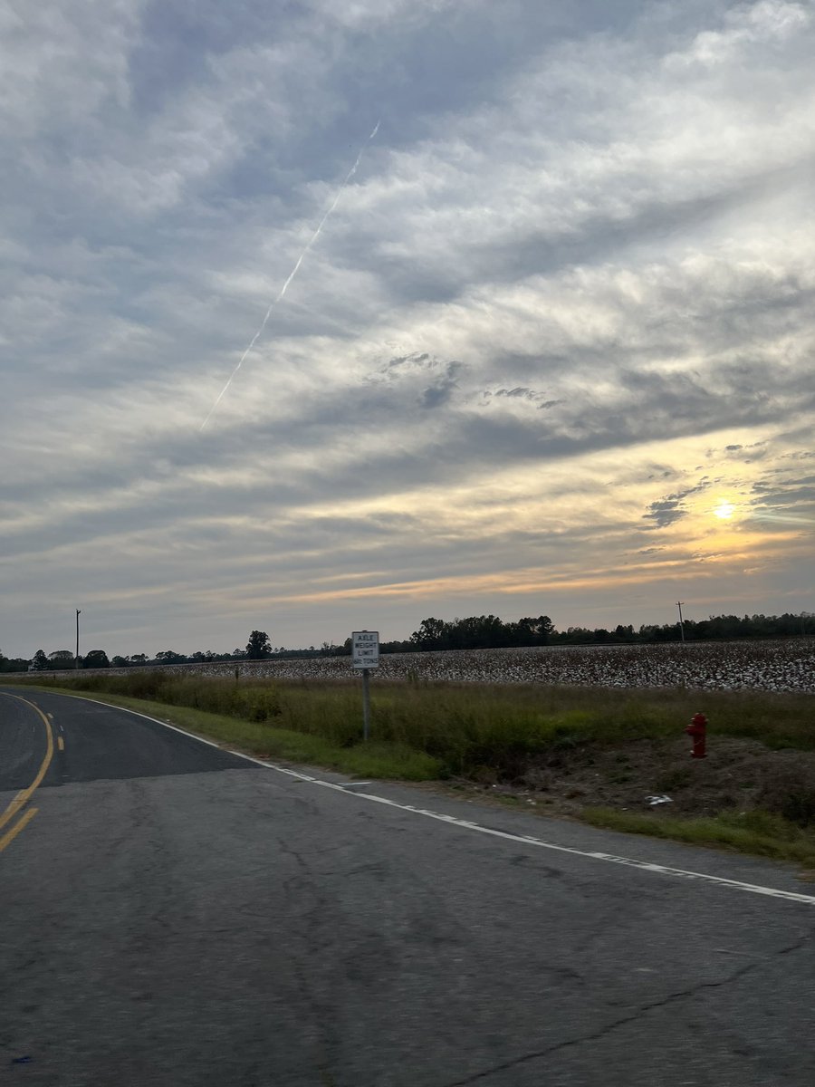 sheliapmoses's tweet photo. Eastern, North Carolina is a novel! Most of my stories are born here. #myhomestate https://t.co/YLFrUt2SmK