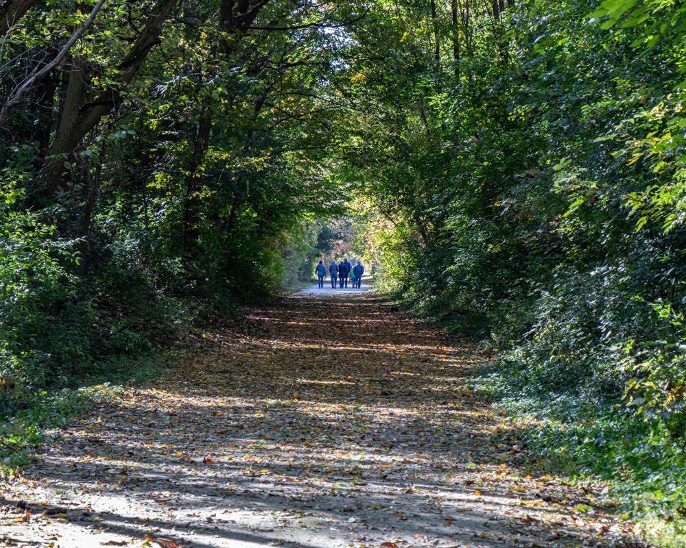Thanks to all who joined the 5K #WalkfortheWild hike on the Prairie Trail on Saturday, the last day of #RefugeWeek. We visited the #HackmatackNWR Blackmon site located on the trail, across from Richmond Village Hall. Stop by YOUR #LocalRefuge anytime! 
<a href="/NWRA/">Northwest Recruiters</a>
<a href="/USFWSRefuges/">USFWS Refuge System</a>