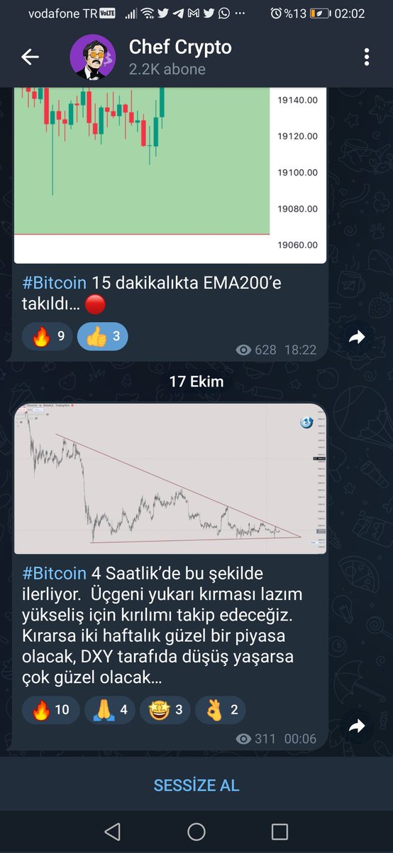 @whaleanalys Takipteyiz kardeşim 😉