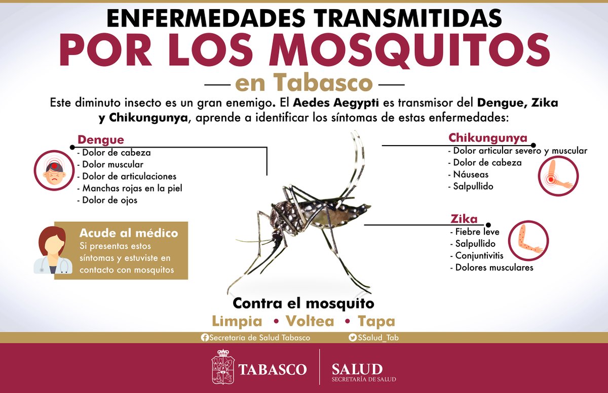 GOBIERNO DE TABASCO on Twitter "Estas son las principales enfermedades