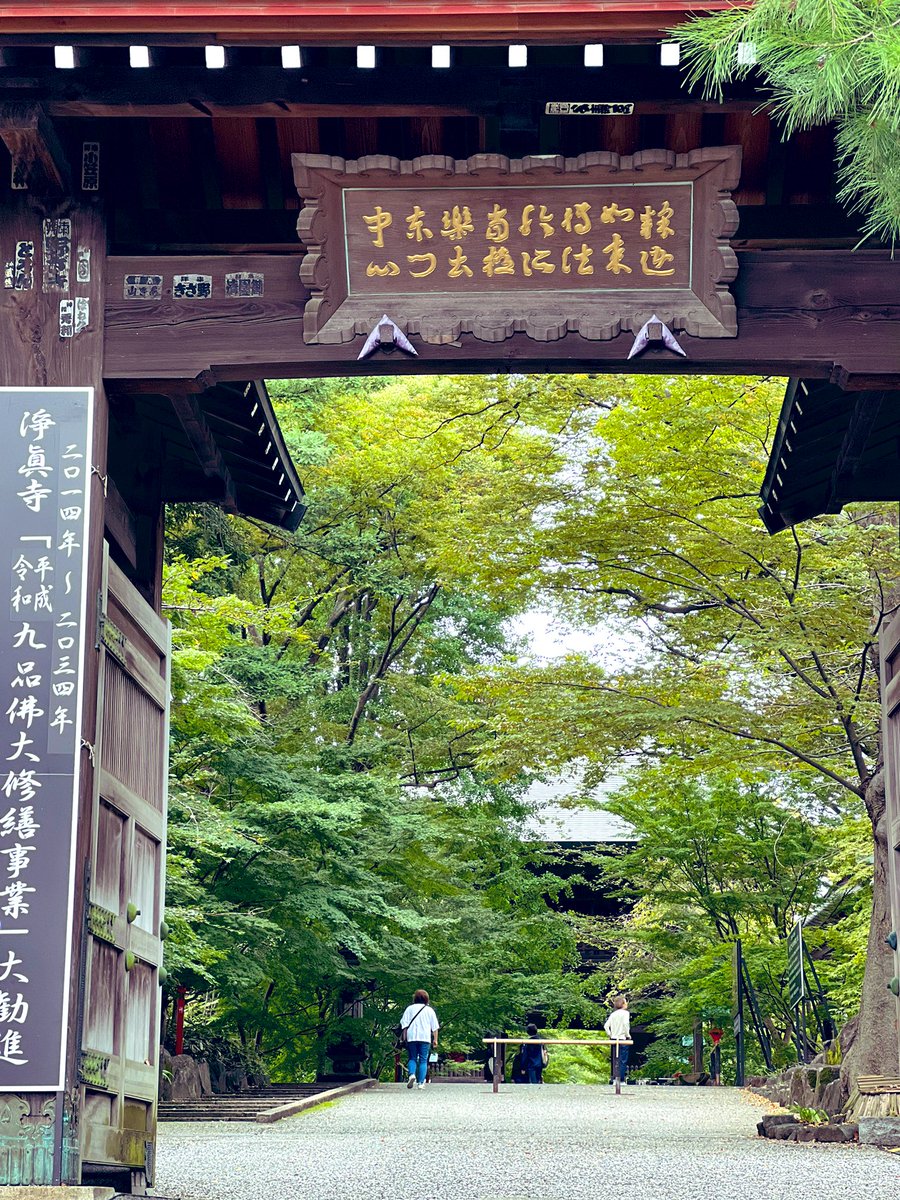 Jojozoey1's tweet photo. #九品仏浄信寺
#九品仏
#奥沢
#紅葉
#東京カメラ部
#爽やか秋
#tokyowalking
#niceweather
#BeautiflSeason
#Refreshingday
#temple
#historicTemple
After a long time, Tokyo is clear weather of autumn and is refreshing.
The visit in a temple in Kuhonbutsu is wonderful😊💕💖 https://t.co/faFd6LghZW