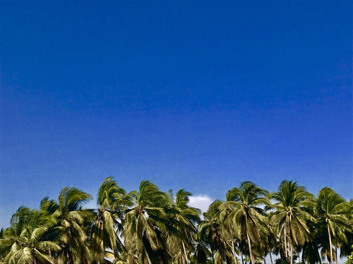 saulm38's tweet photo. #HogarDelSol https://t.co/YVzzXz2IFw