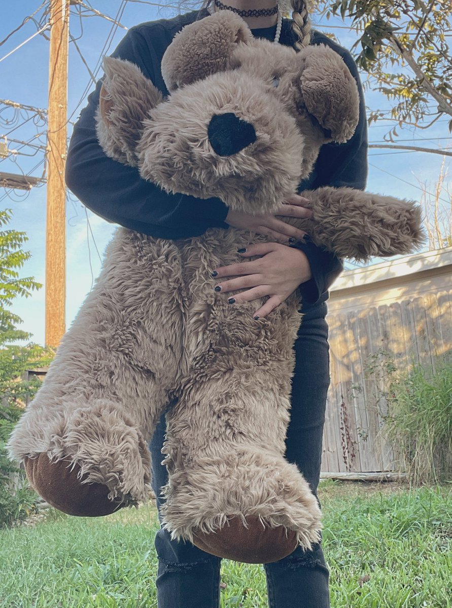 Stuffed Animal Rescue 🎃 🌱 on Twitter soon to our rescue’s p