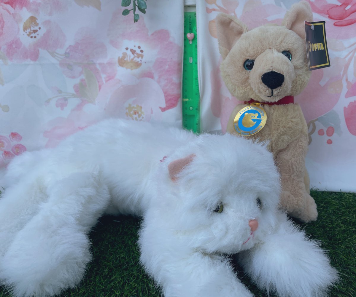 Stuffed Animal Rescue 🎃 🌱 on Twitter soon to our rescue’s p