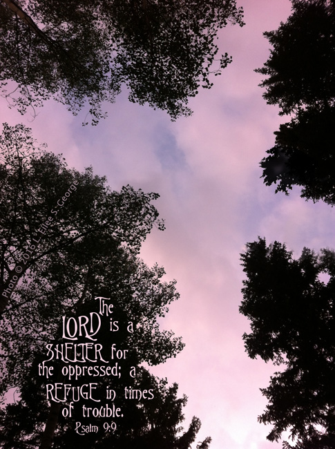 EiLeeGeorge's tweet photo. Hope you've had a good Sunday! Here's this week's #ScripturePicture. I just loved how these trees came together. #faith #EiCandee #photo https://t.co/E1GLpkQYFH