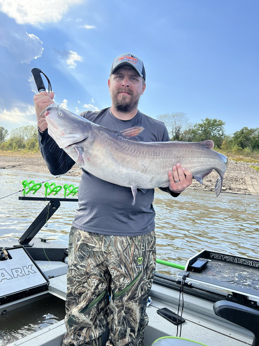 662fishing's tweet photo. Had a blast fishing the Mississippi River at Helena Arkansas in the Mississippi Catfish Trail. Ended up weighing in 62.76 lbs. Can’t wait until the next one. #seaarkboats #bnmrods #suzukioutboards #hummingbirdelectronics #smackdownrodholders https://t.co/WzdWXnEsec