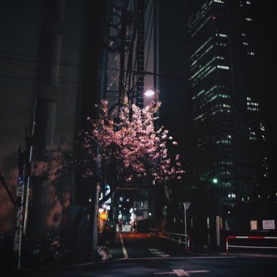 bakrin_m's tweet photo. #صورة_جديدة_للملف_الشخصي https://t.co/OSx75wjL22