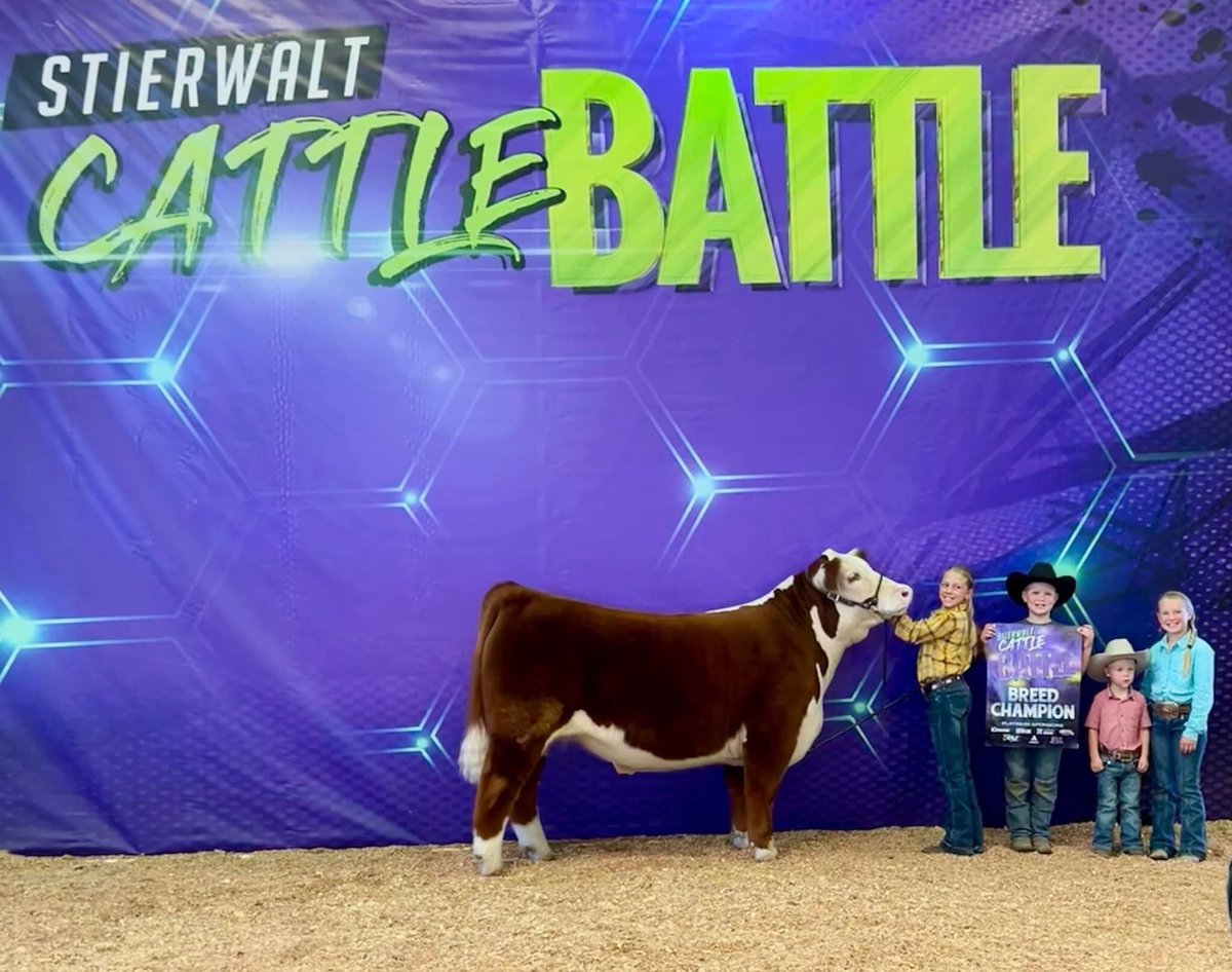 BornRanches's tweet image. Congratulations Victoria!!!!! Champion Hereford with Cash (Lot 11 from the 2022 @pwroftheplains ) at the Stierwalt Cattle Battle!!! #donor131