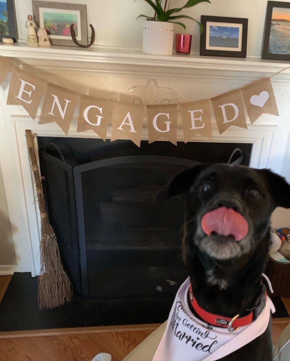 Sarah Harkins Cavanaugh, Ed.S. tweet media