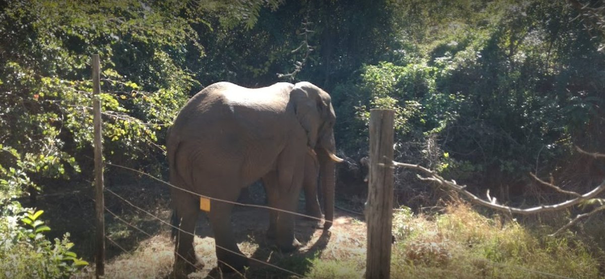 umzamocapital's tweet photo. Cecil Kopje nature reserve in Mutare, Zimbabwe
#VisitMutare #VisitZimbabwe #TravelZimbabwe #TouriZim #VisitManicaland #Mutare #Manicaland #Zimbabwe https://t.co/Y1Zi4DmG48