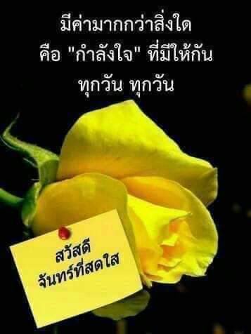 💁🏽‍♂️asree💁🏽‍♂️💞💞 tweet media