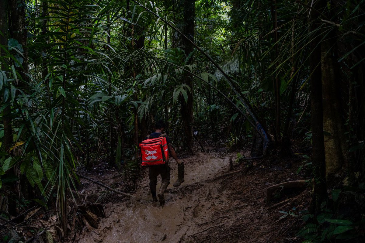 Federico Rios tweet media