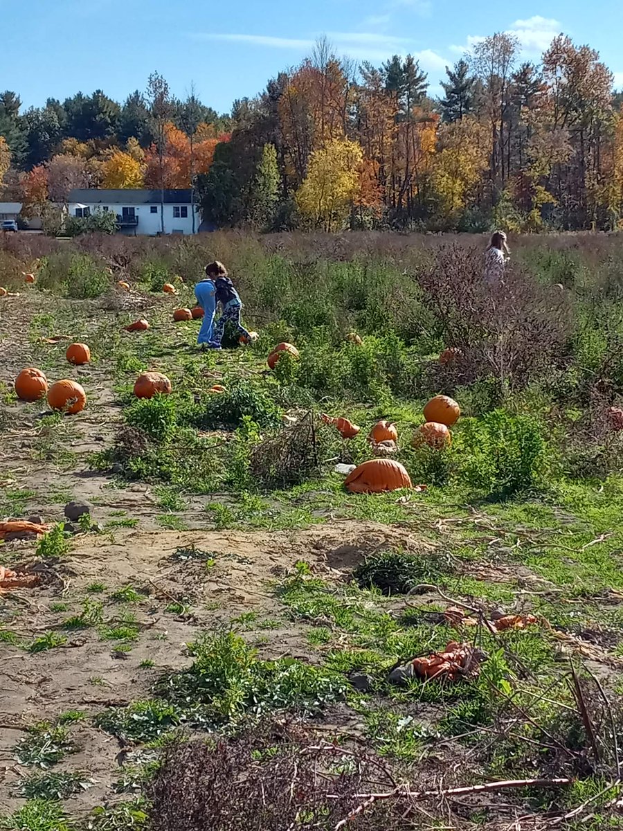 KnightDivining's tweet photo. Tractor ๐ pulled wagon ride through the forest to the pumpkin ๐ patch with the family. #family #familytime #familyfun #familyadventures #wagonrides #nature #pumpkinpatch #pumpkinpicking #pumpkins https://t.co/6lB5gMBrVu