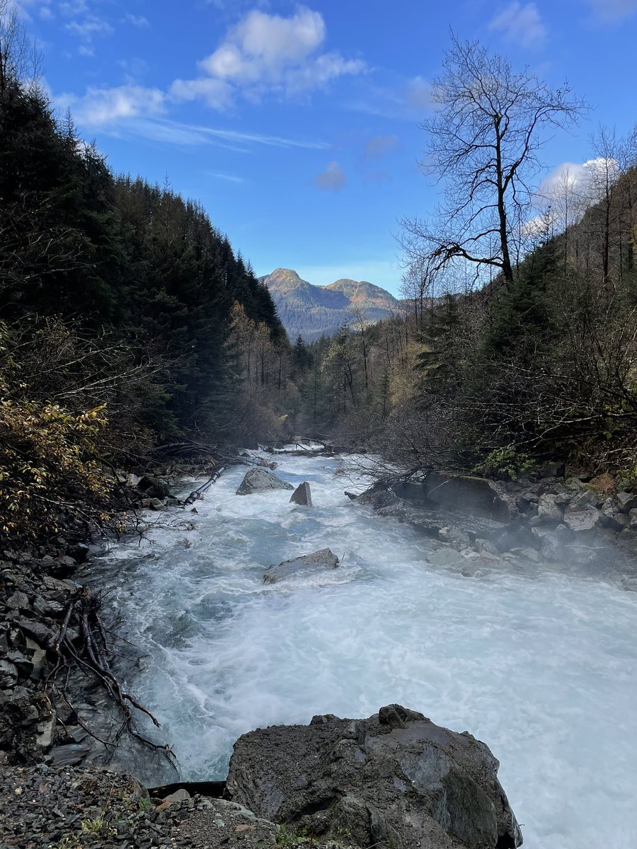 ProleCap's tweet image. Home