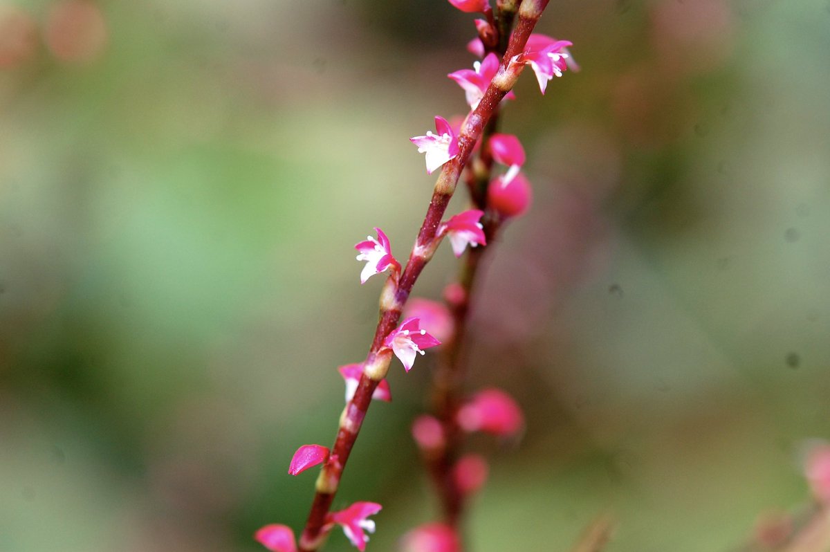 Yumin523 Yumin523 Twitter