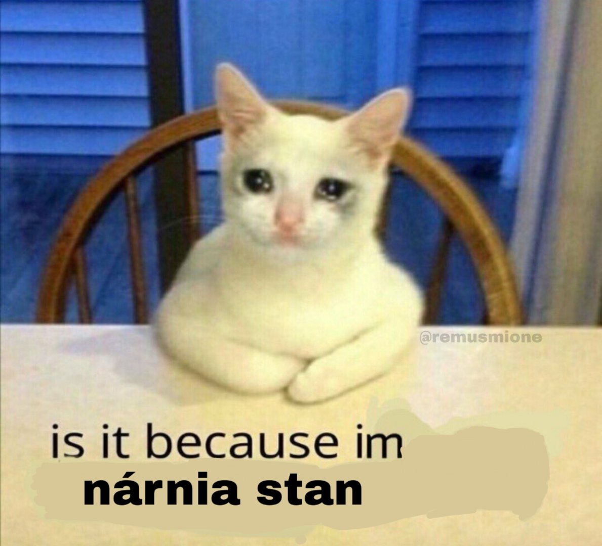 Memes de Nárnia que eu kibei e tenho salvo a meses - a thread