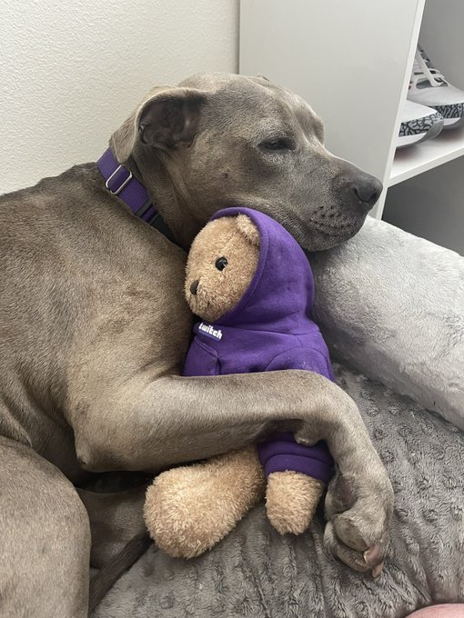 Watch Towelliee's leaked NSFW photo on TwXstars