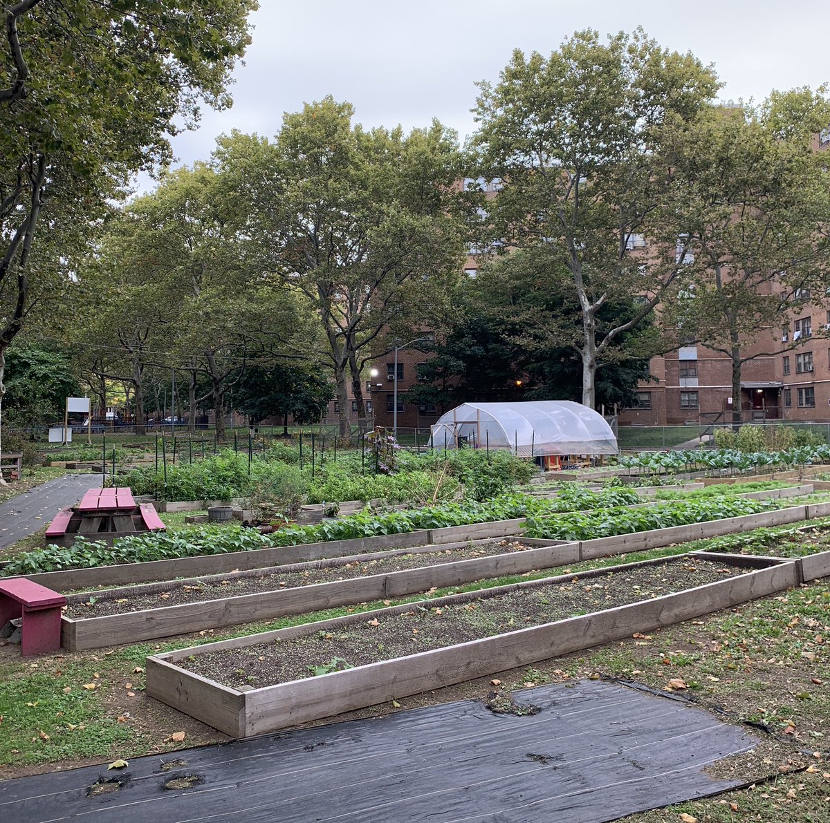 Lori Koenick tweet media