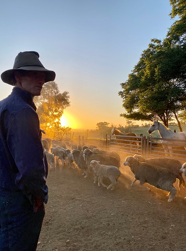 Centre for Rural Criminology tweet media