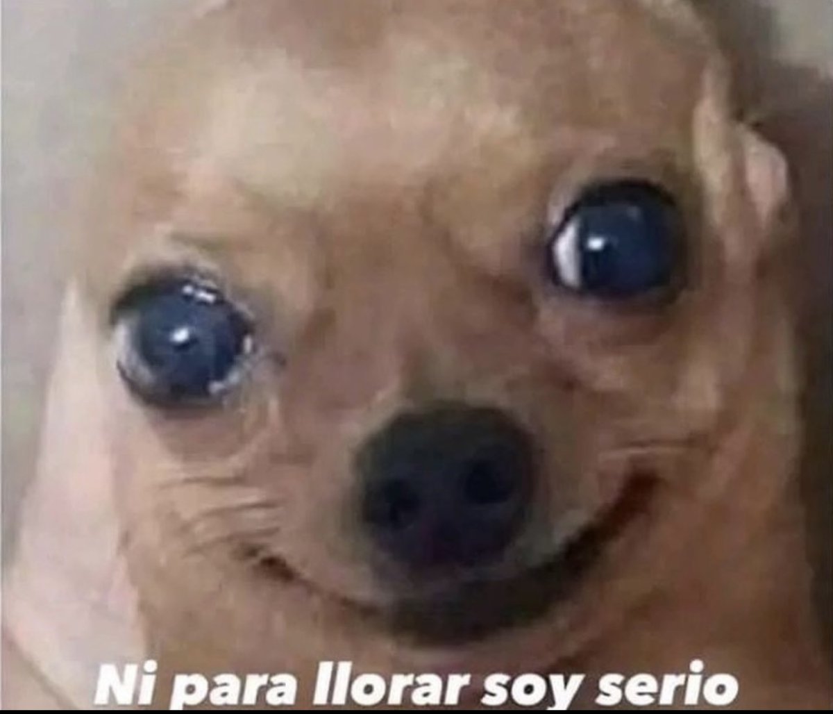 El Guarromántico tweet media