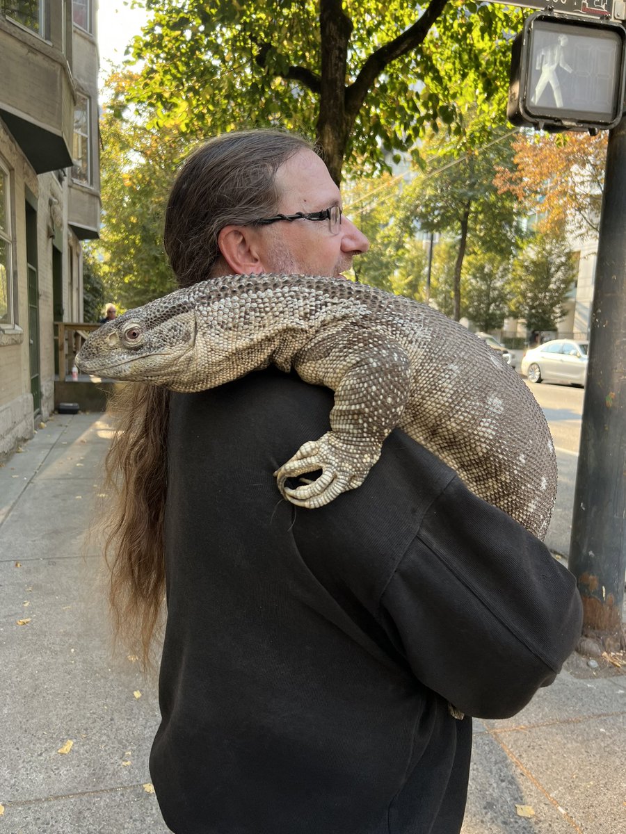 Jennifer Gunter on Twitter "Met Drake the monitor lizard today"