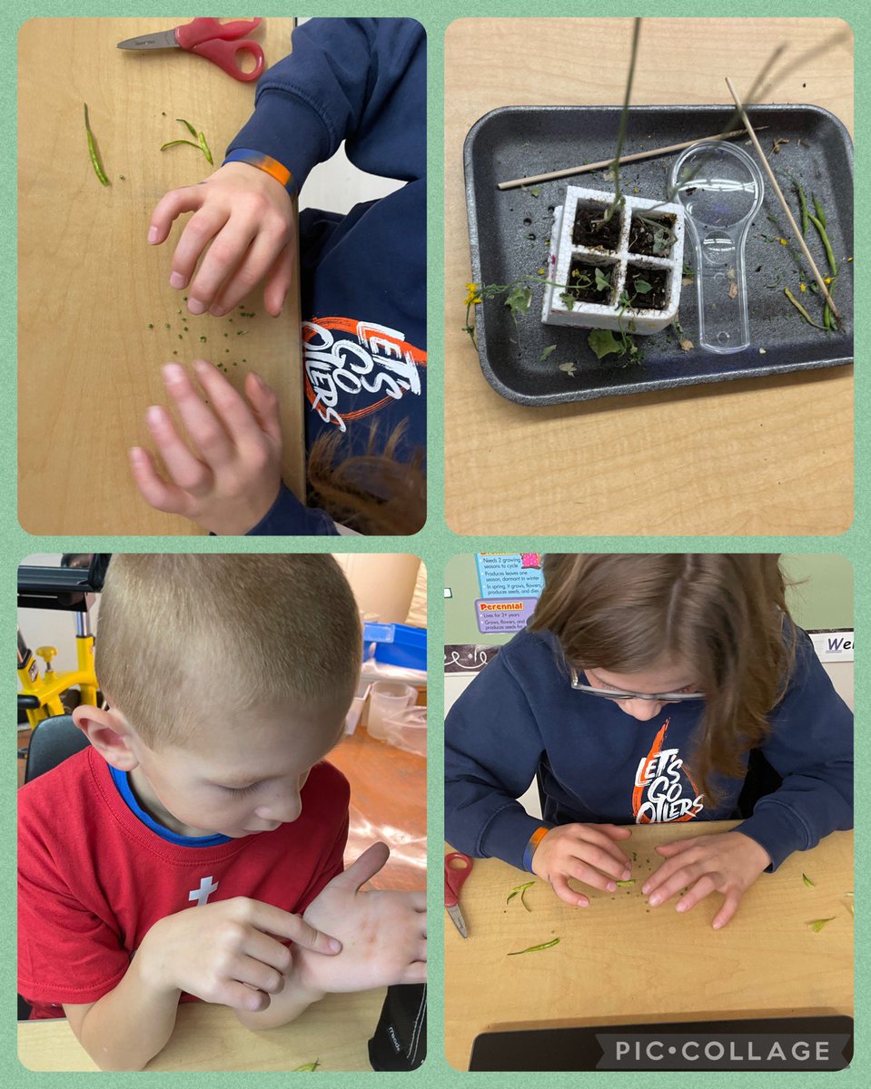 @mrsrafuse tweet media