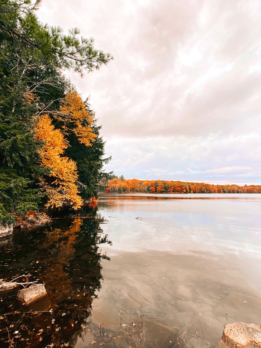 It was a beautiful day to #getoutside! Also a great opportunity to try out #alttext for the first time!