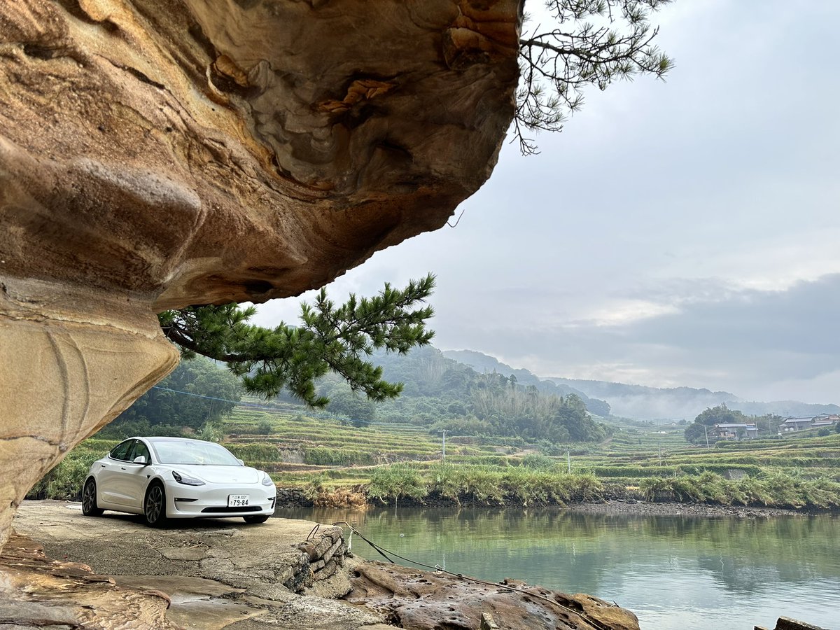 プルテウス tweet media