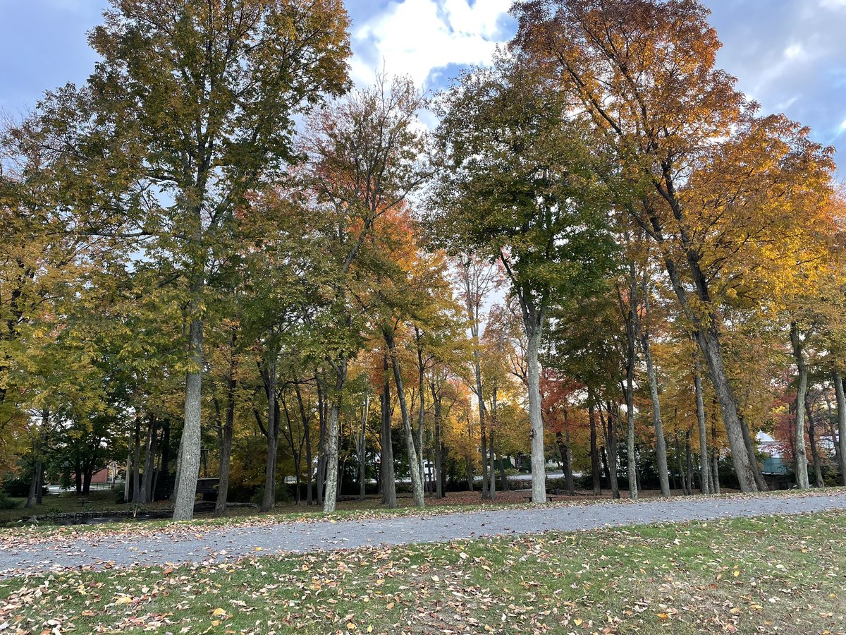 Beautiful02048's tweet photo. Fulton’s Pond on an #autumn Sunday #MansfieldMA https://t.co/IV0nB0BWYR