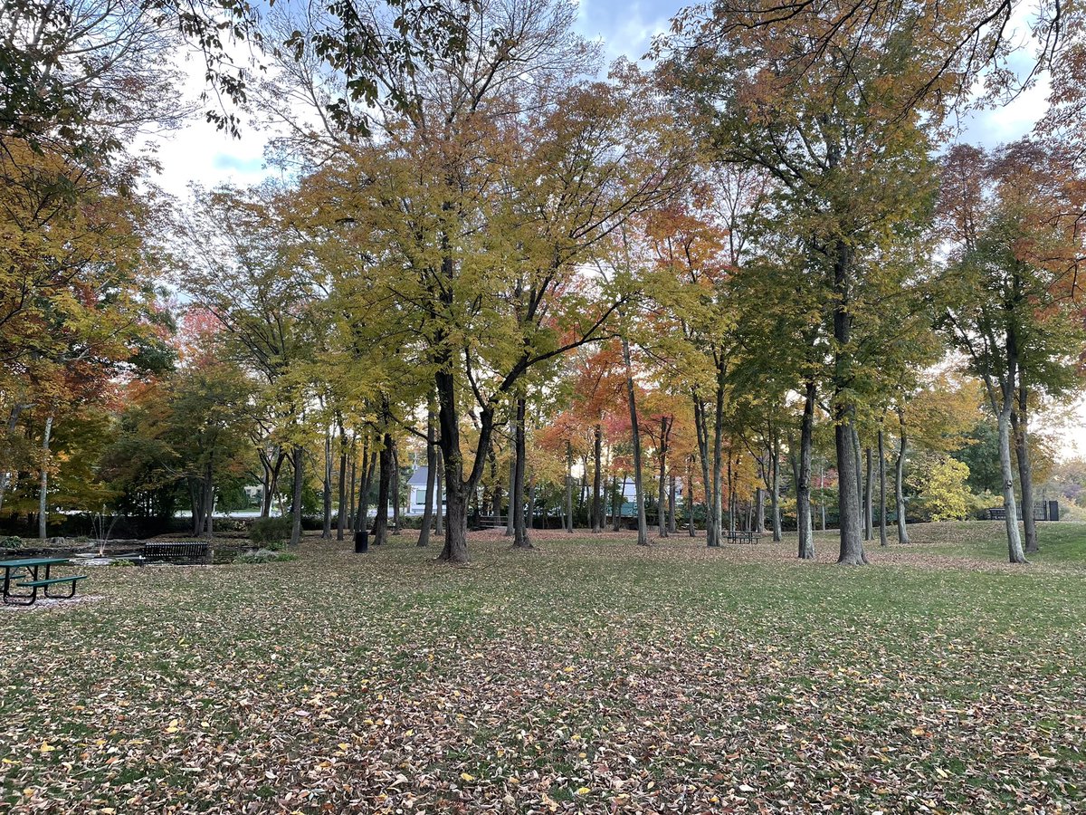 Beautiful02048's tweet photo. Fulton’s Pond on an #autumn Sunday #MansfieldMA https://t.co/IV0nB0BWYR