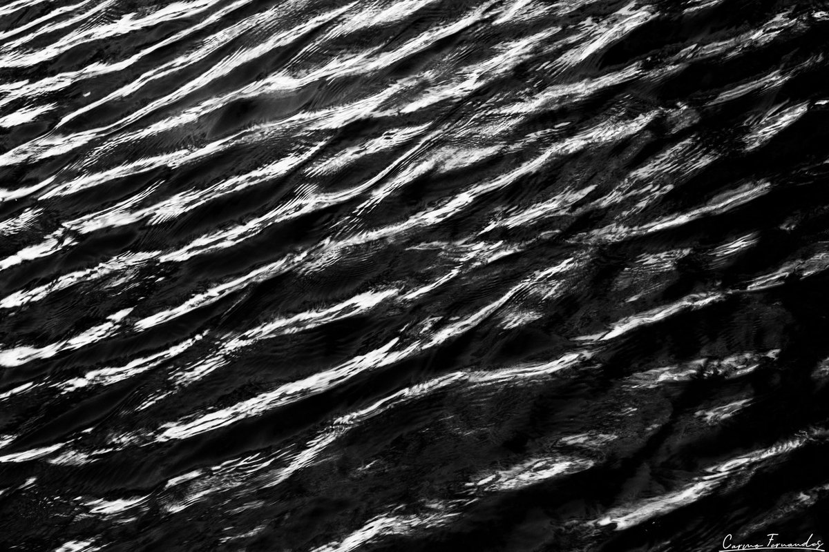 Raider_Warrior's tweet photo. When they ask you why you love the rain, the ocean, the river, tell them it is because
unlike the people who should have loved you better,
the water was never afraid
to touch you; even when you were at your most damaged
&amp; broken🖤#TCCFilltheFrame #Canon #ThePhotoHour #photography https://t.co/USPTray1N1