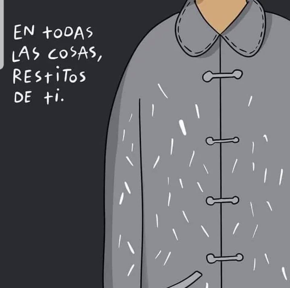 FundacionToby's tweet image. El extraño luto de los perritos ☹️

(1)