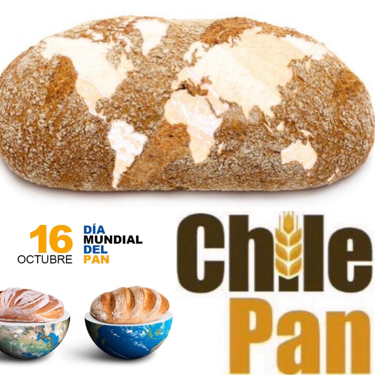 CHILE PAN tweet media