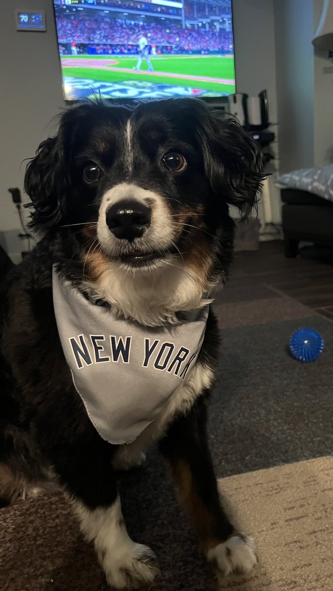 kelsielizabeth_'s tweet photo. Duke would very much like it if the @Yankees won tonight https://t.co/Wf6ftQ8yaq
