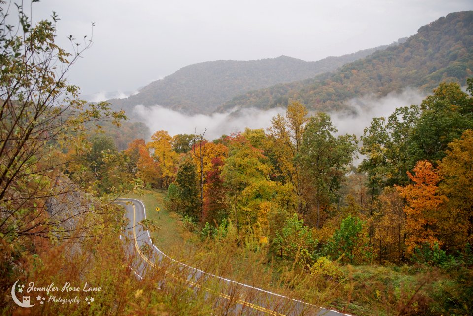 Jens_Starry_Sky's tweet photo. It was a beautiful, foggy, fall day here in Logan County, WV. I grabbed this shot at Chief Logan State Park. It has been a rainy day, but those fall colors are really popping ๐ #fall #autumn #WVStateParks #OnlyInWV @StormHour @ThePhotoHour @weatherchannel @SpencerWeather https://t.co/o4nmCMkcQY