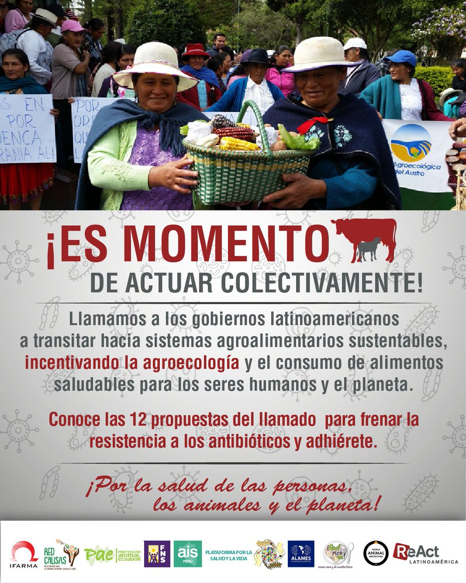 react_latina's tweet image. En el #DíaMundialDeLaAlimentación hacemos un llamado a los gobiernos para que implementen políticas públicas  hacia sistemas agroalimentarios que cuiden los ecosistemas, garanticen el bienestar animal y produzcan alimentos saludables. Conoce el llamado 👉 bit.ly/Llamadocriaint…