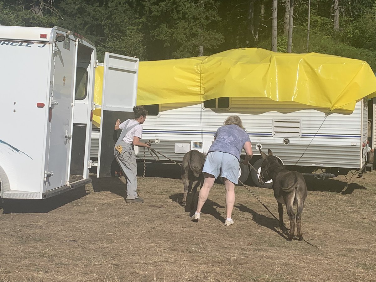 ChristelleK_TV's tweet photo. @CRESA estimates about 35,000-40,000 homes are under all three evacuation levels at this time.
Stephanie’s farm in Camas is under a level 2 “get set”evacuation order. She’s gathering her animals now to get them to a safe place asap. https://t.co/65mPnNhx5a