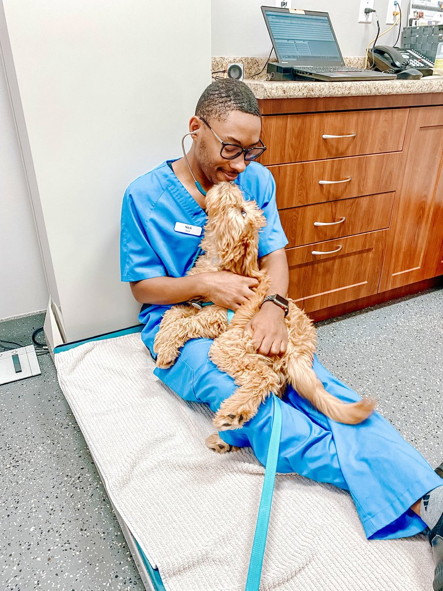 Tweet by American Animal Hospital Association