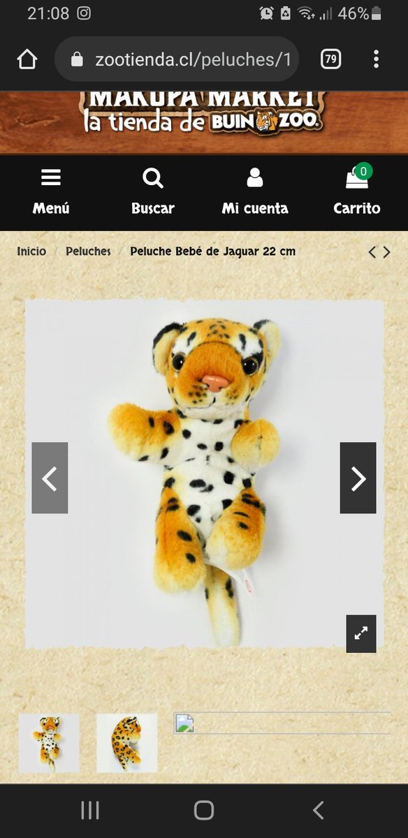 lcapurro's tweet photo. @AltoLasCondes hola, a mi hijo se le quedó su peluche regalón en el mall. Creemos que se le cayó o en el baño de mujeres o el de niños que está en el patio de comidas. Mide 20 cms aprox y tiene forma de Jaguar (Peche del @Buin_Zoo). Porfa su ayuda, está muy muy triste!!! https://t.co/x8TYkLvCB5