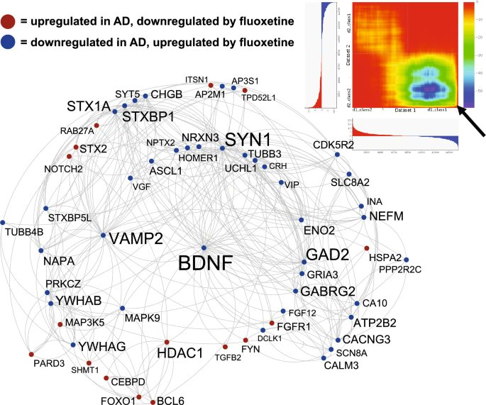 Alzheimer’s disease large-scale gene expression portrait identifies exercise as the top theoretical treatment

▶️ &gt;250 treatments: exercise &amp; activity = #1
▶️ Fluoxetine also scored well
▶️ Other + treatment: curcumin
▶️AD portrait resembles depression

nature.com/articles/s4159…
