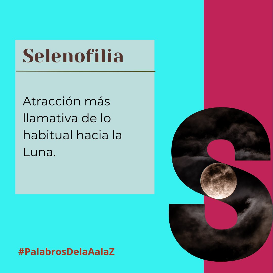 Narratorio's tweet photo. -A veces creo que me habla, que brilla para mí. Es un insulto infravalorarla.
-Presentas un caso de selenofilia severo.
-¿Y por eso siento la necesidad implacable de asesinar a quien no venere a la luna?
-¿Qué?
-Dígame, ¿es usted de los que osa dormir de noche?
#PalabrosDelaAalaZ https://t.co/OCPKnKqVR4