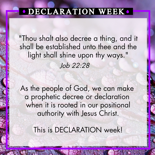 GodlyMusing's tweet photo. #makeadeclaration
#GodlyMusing
#thoughtstoinspire
#sharingthewordofGod https://t.co/fNDWEIMgwS
